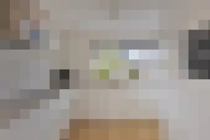 de Lingert 6051 Wijchen thumbnail 11