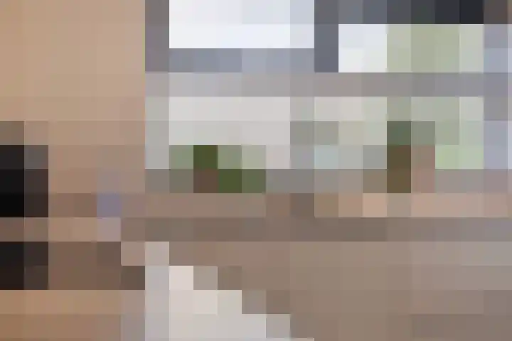 de Lingert 6051 Wijchen thumbnail 12