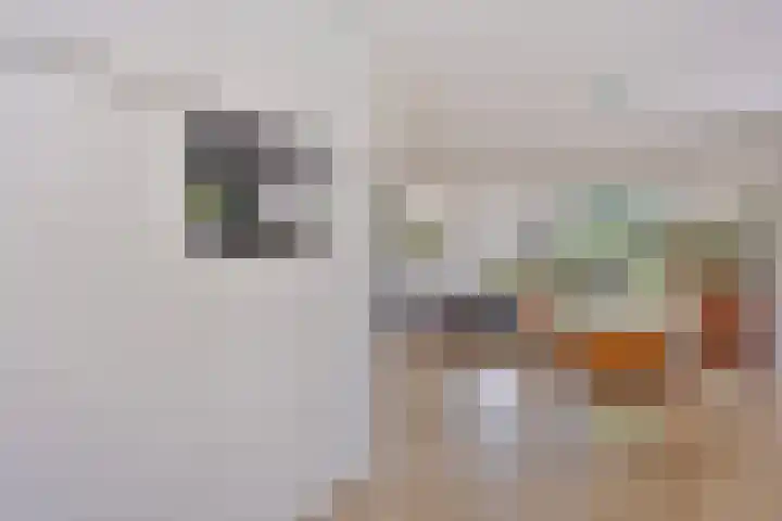de Lingert 6051 Wijchen thumbnail 13