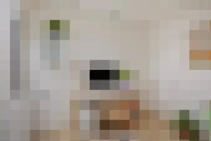 de Lingert 6051 Wijchen thumbnail 15