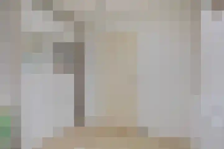 de Lingert 6051 Wijchen thumbnail 16