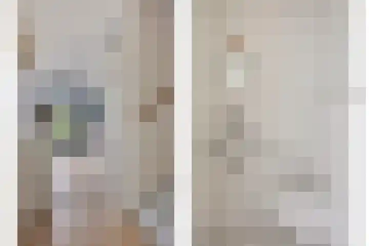 de Lingert 6051 Wijchen thumbnail 17