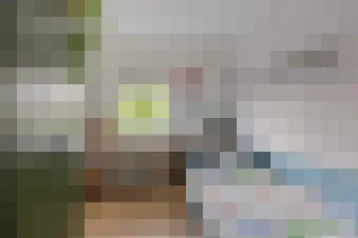 de Lingert 6051 Wijchen thumbnail 21
