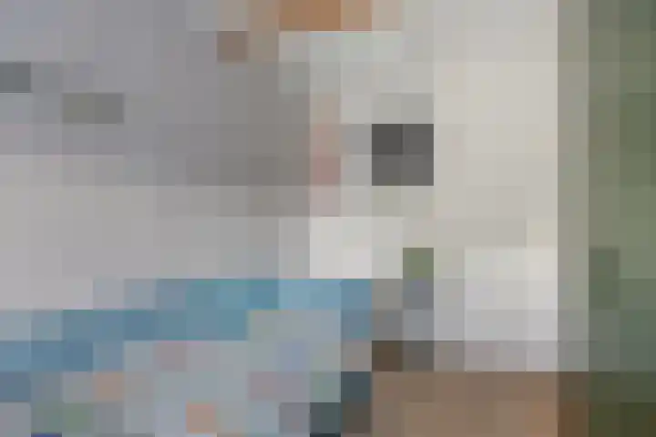de Lingert 6051 Wijchen thumbnail 22