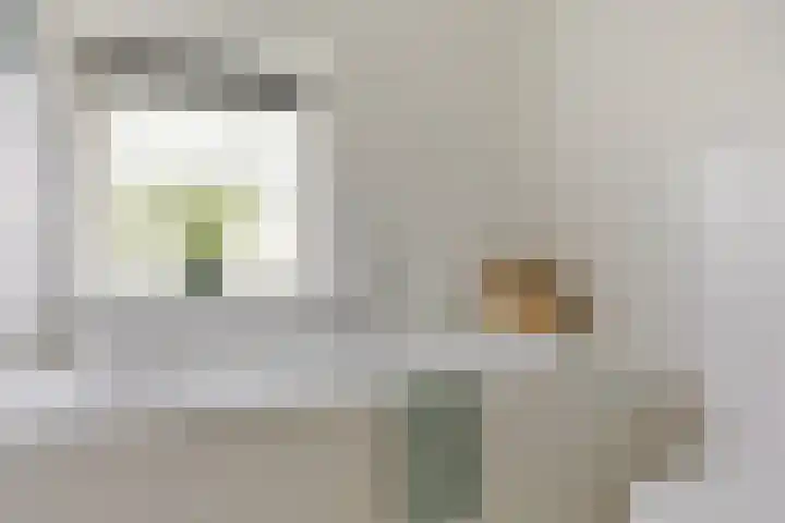 de Lingert 6051 Wijchen thumbnail 25
