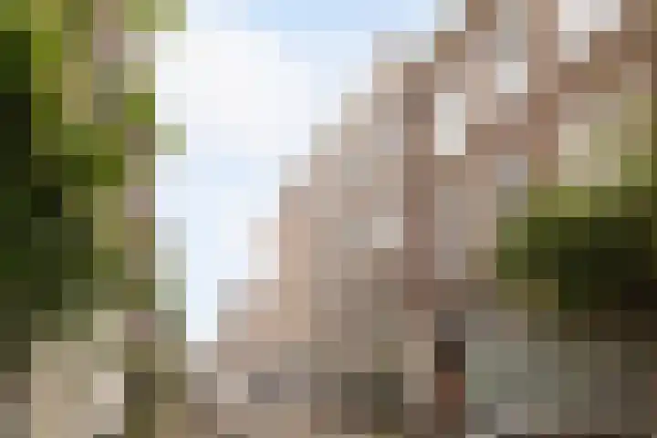 de Lingert 6051 Wijchen thumbnail 29