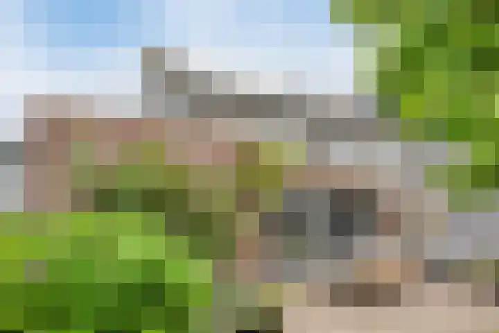 de Lingert 6051 Wijchen thumbnail 31