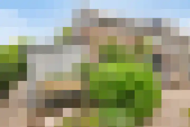 de Lingert 6051 Wijchen thumbnail 36