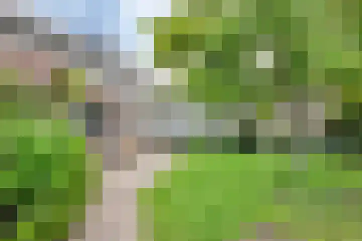 de Lingert 6051 Wijchen thumbnail 37
