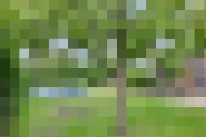 de Lingert 6051 Wijchen thumbnail 38