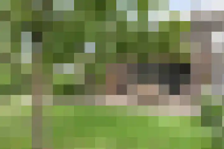 de Lingert 6051 Wijchen thumbnail 40