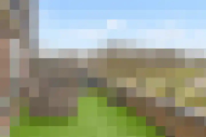 de Lingert 6051 Wijchen thumbnail 42