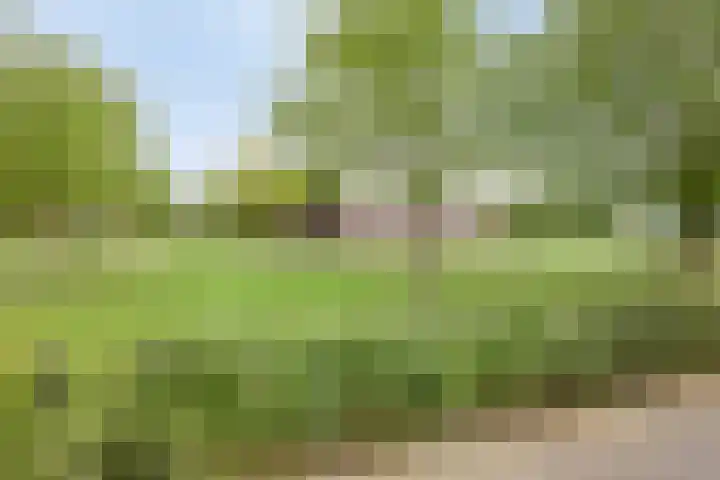 de Lingert 6051 Wijchen thumbnail 43