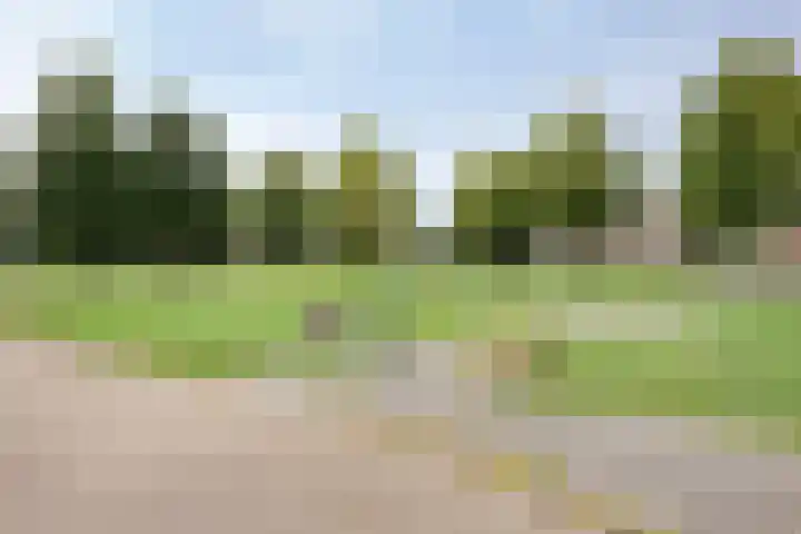 de Lingert 6051 Wijchen thumbnail 44