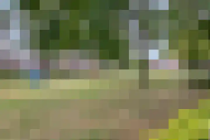 de Lingert 6051 Wijchen thumbnail 46