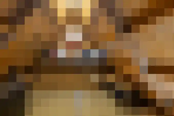 de Lingert 6051 Wijchen thumbnail 47