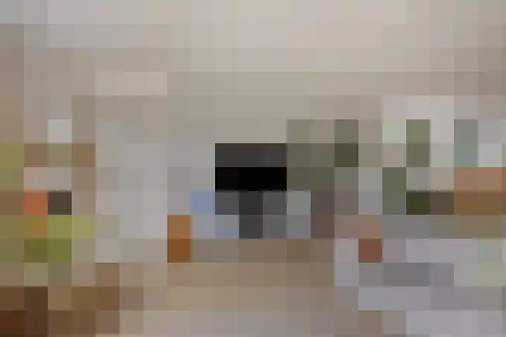 de Lingert 6051 Wijchen thumbnail 6