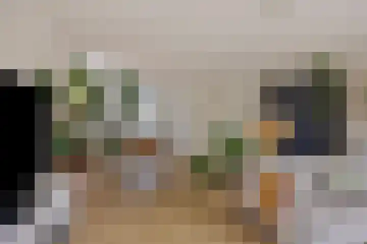de Lingert 6051 Wijchen thumbnail 7