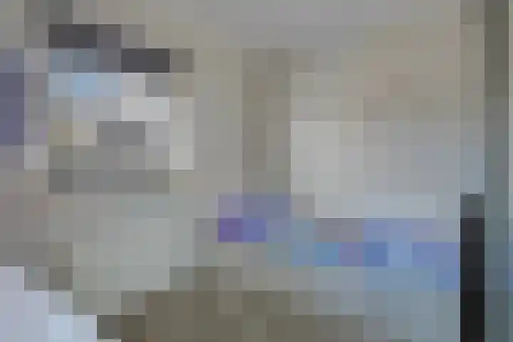 de Lingert 6217 Wijchen thumbnail 15