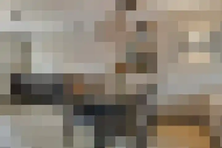 de Lingert 6217 Wijchen thumbnail 5