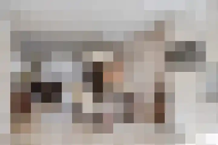 de Lingert 6220 Wijchen thumbnail 11