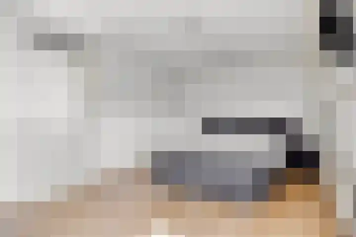 de Lingert 6220 Wijchen thumbnail 16