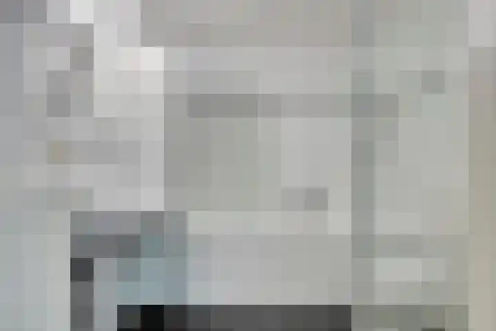 de Lingert 6220 Wijchen thumbnail 21
