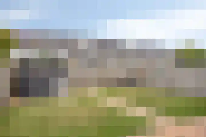 de Lingert 6220 Wijchen thumbnail 30
