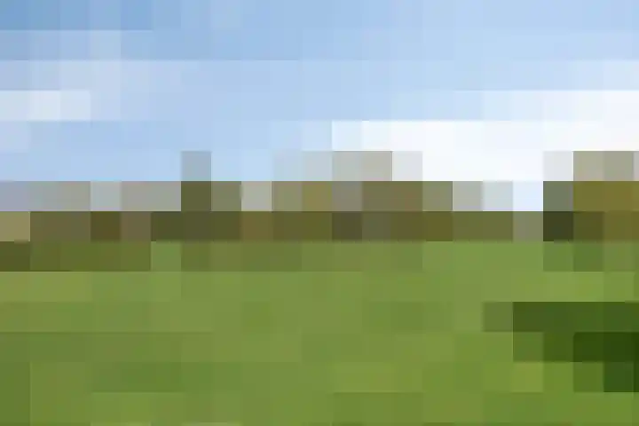 de Lingert 6220 Wijchen thumbnail 33