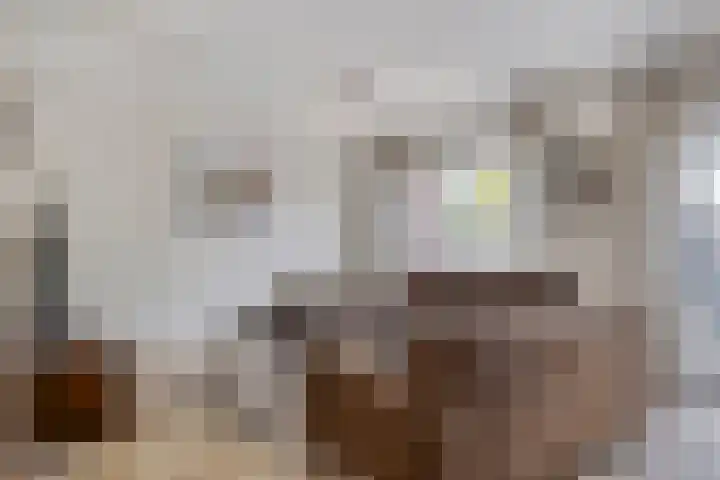 de Lingert 6220 Wijchen thumbnail 7