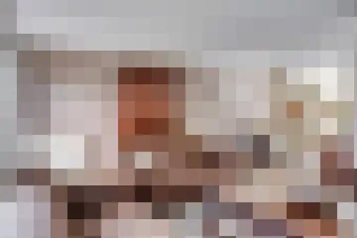 de Lingert 6220 Wijchen thumbnail 8