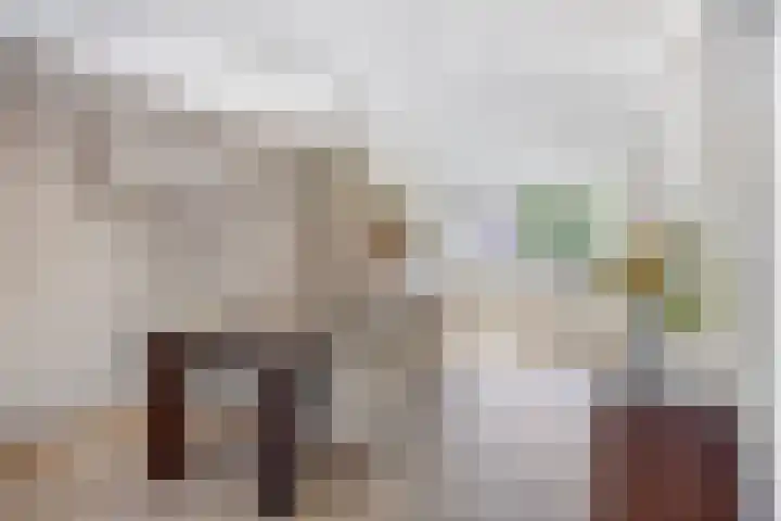 de Lingert 6220 Wijchen thumbnail 9