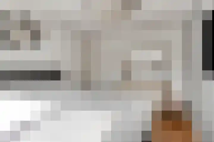 de Lingert 6227 Wijchen thumbnail 16