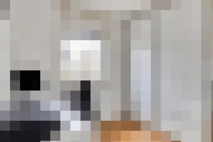 de Lingert 6227 Wijchen thumbnail 20