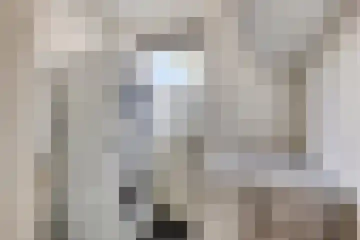 de Lingert 6227 Wijchen thumbnail 21