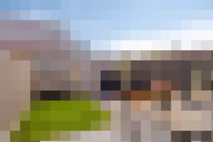 de Lingert 6227 Wijchen thumbnail 25
