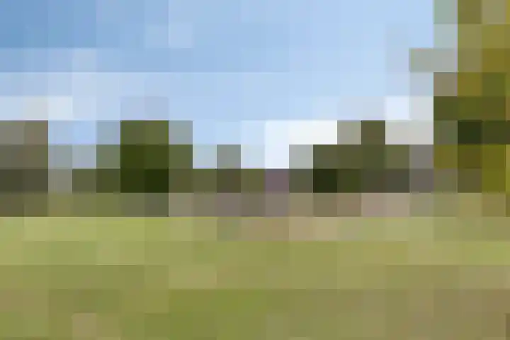de Lingert 6227 Wijchen thumbnail 28