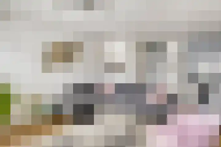de Lingert 6227 Wijchen thumbnail 5