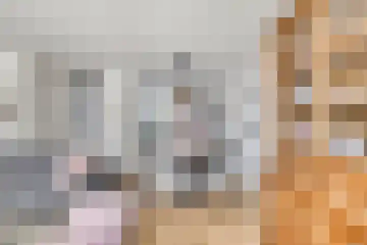 de Lingert 6227 Wijchen thumbnail 6