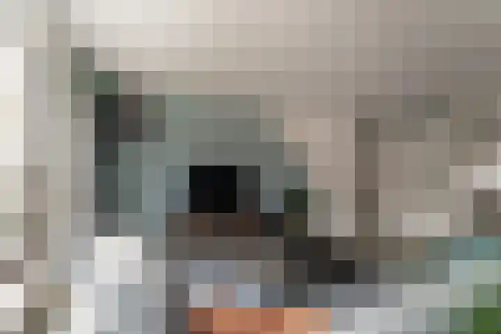 de Lingert 6445 Wijchen thumbnail 11