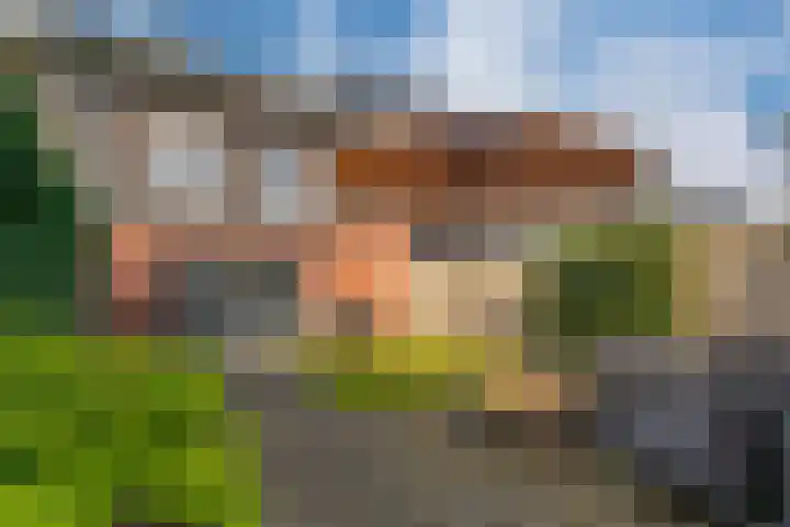 de Lingert 6445 Wijchen thumbnail 12