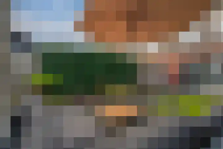 de Lingert 6445 Wijchen thumbnail 14