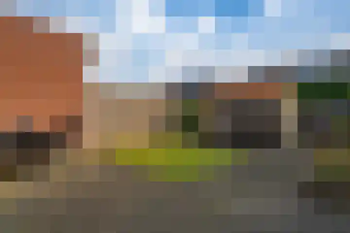 de Lingert 6445 Wijchen thumbnail 15