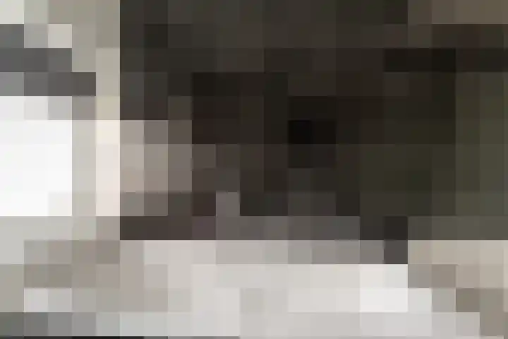 de Lingert 6445 Wijchen thumbnail 21