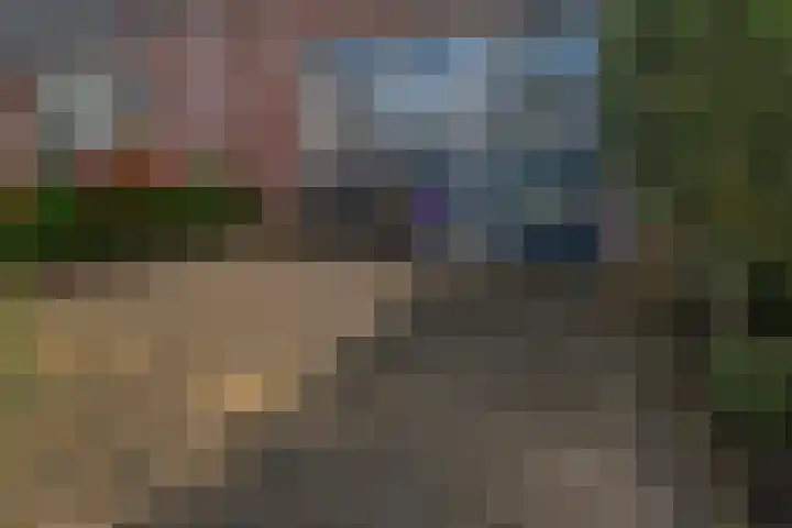 de Lingert 6445 Wijchen thumbnail 29