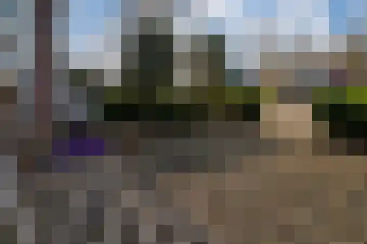 de Lingert 6445 Wijchen thumbnail 31