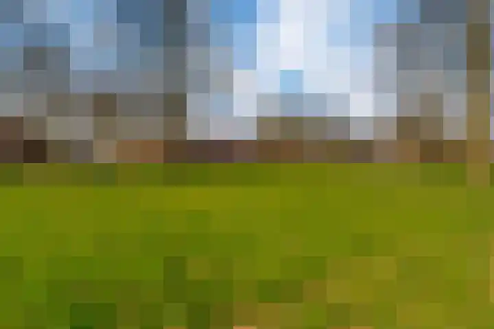 de Lingert 6445 Wijchen thumbnail 33