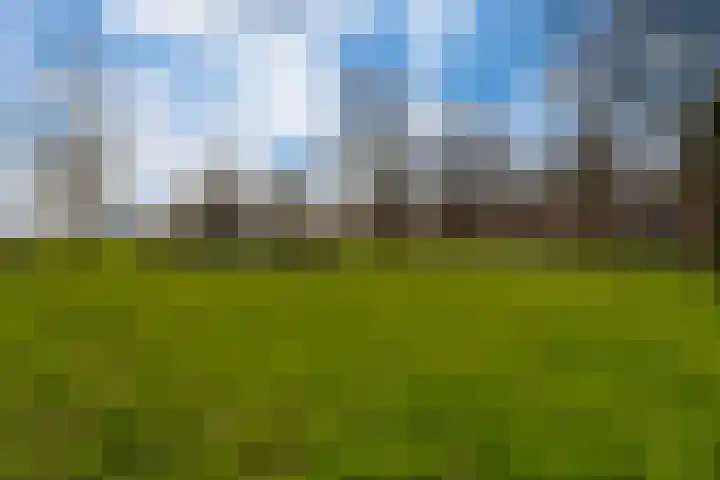 de Lingert 6445 Wijchen thumbnail 34