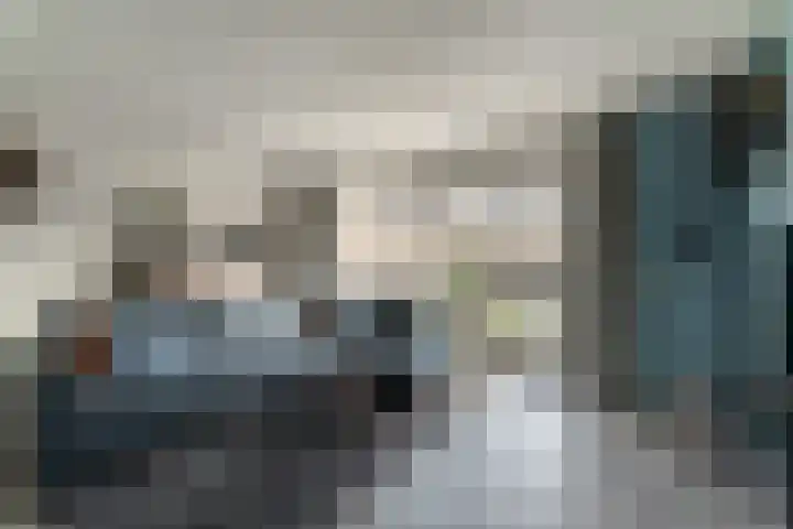 de Lingert 6445 Wijchen thumbnail 9