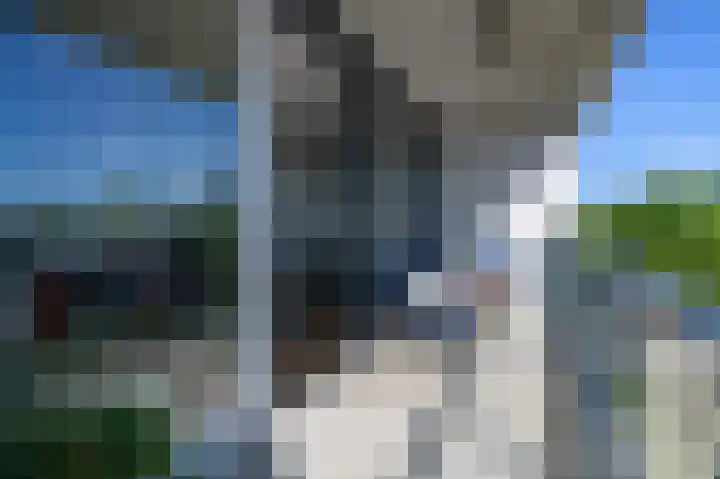 de Lingert 6499 A Wijchen thumbnail 13